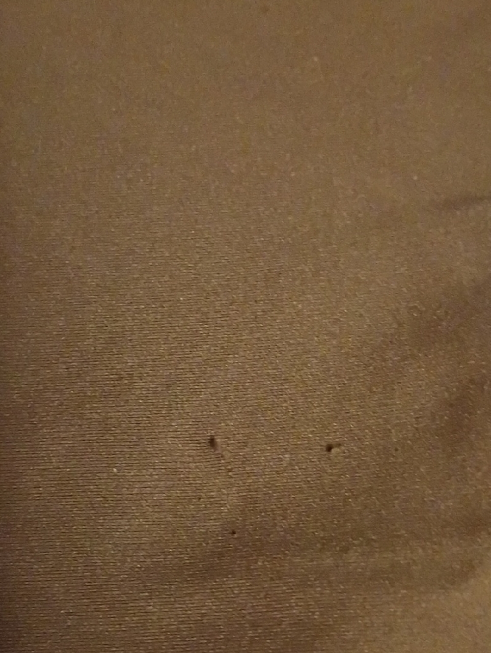 Everlane Brown High-Rise Cropped Leggings - Picture 4 of 8